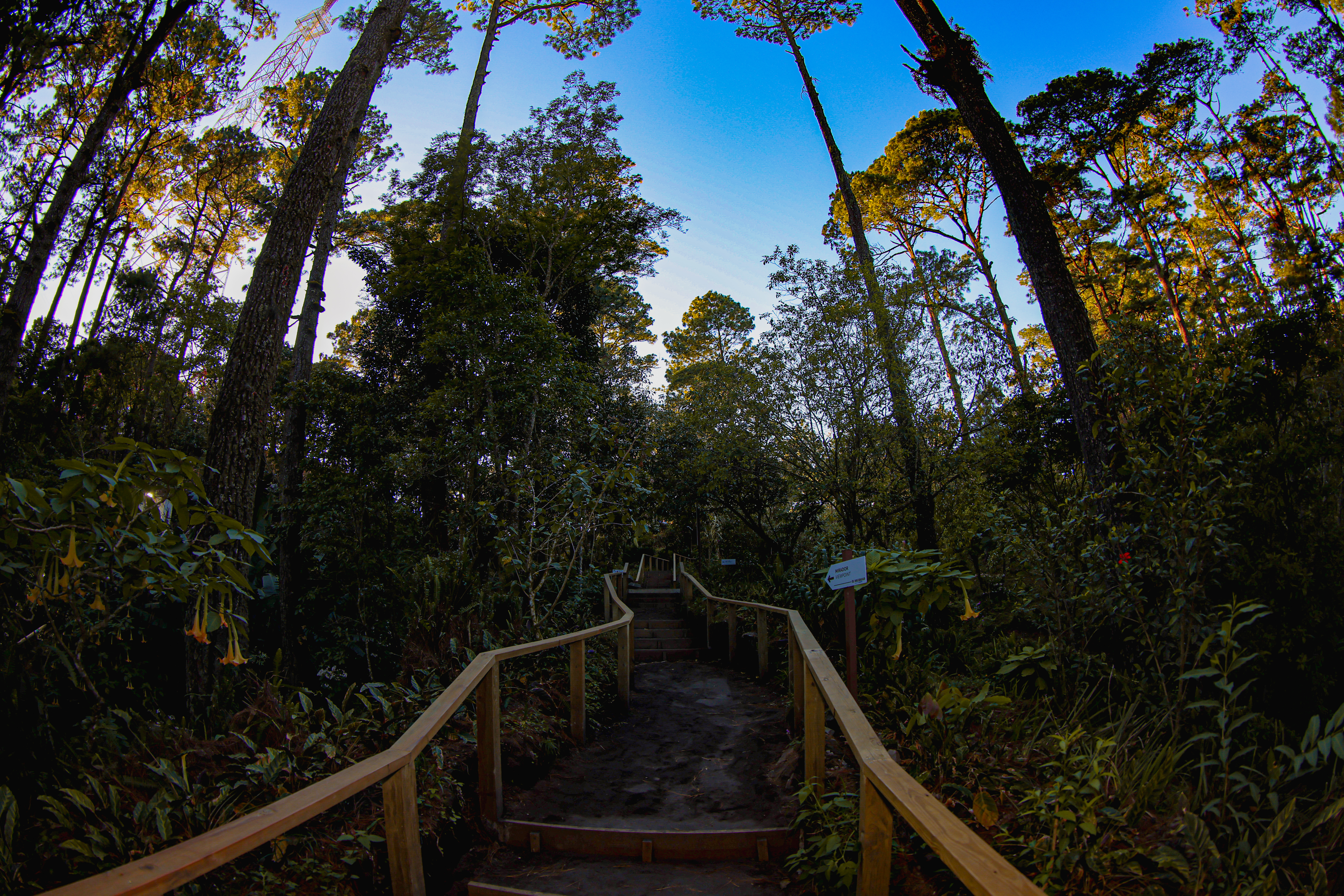 Photo from Parque Nacional El Boquerón